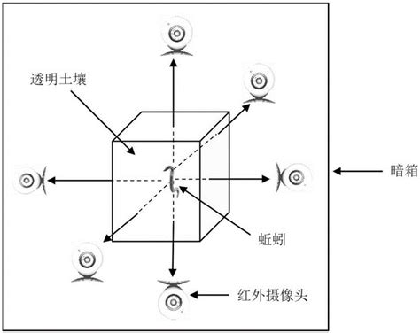 蚯蚓穴